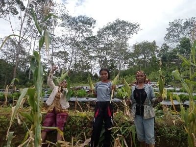 Dorong Partisipasi Perempuan Lewat Program Tjsl Budidaya Hortikultura