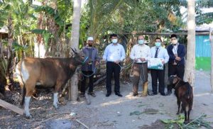 IPOJK NTT Serahkan Hewan Qurban