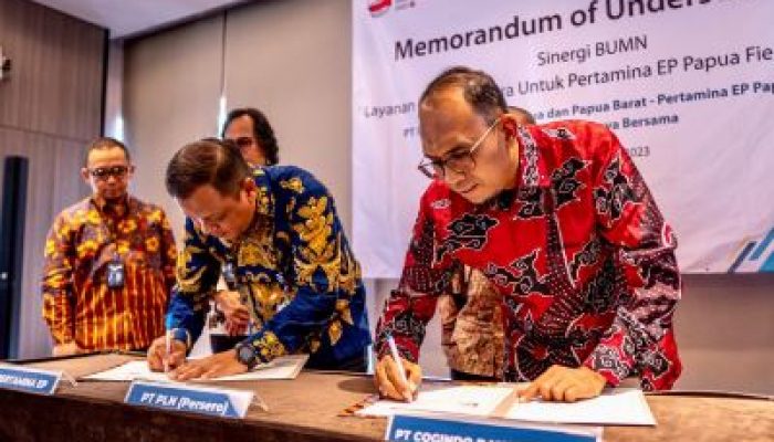 Kolaborasi BUMN, PLN Siap Pasok Kebutuhan Listrik Pertamina EP Papua