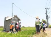 Pertanian Modern Berbasis Listrik Kian Berkembang, Program Electrifying Agriculture PLN Tumbuh 22,28 Persen