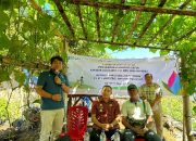 Program Desa Berdaya, PLN UIP Nusra Gelar Pelatihan Hortikultura untuk Warga Sekitar PLTP Ulumbu di Poco Leok