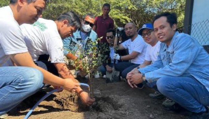 PLN Bersama Pokdarwis Pulihkan Vegetasi di Pantai Oesina Kawasan PLTU Timor 1