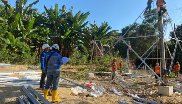 Masuki Tahapan Pemasangan Struktur Baja Tower, SUTT Milik PLN Disiapkan Perkuat Sistem Labuan Bajo