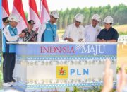 Presiden Jokowi Groundbreaking Pembangunan PLTS PLN 50 MW di IKN Nusantara, Hadirkan 100% Energi Bersih